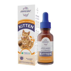 Esencias Kitten Gotas