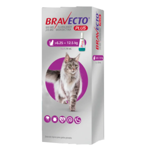 Bravecto | 6.25KG - 12.5KG