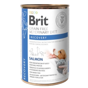 Brit GF Vet Diets Dog/Cat Recovery | 400 GR