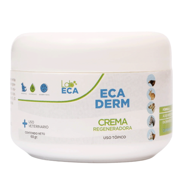 Ecaderm Crema - 60GR